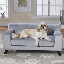 Wayfair dog clearance beds